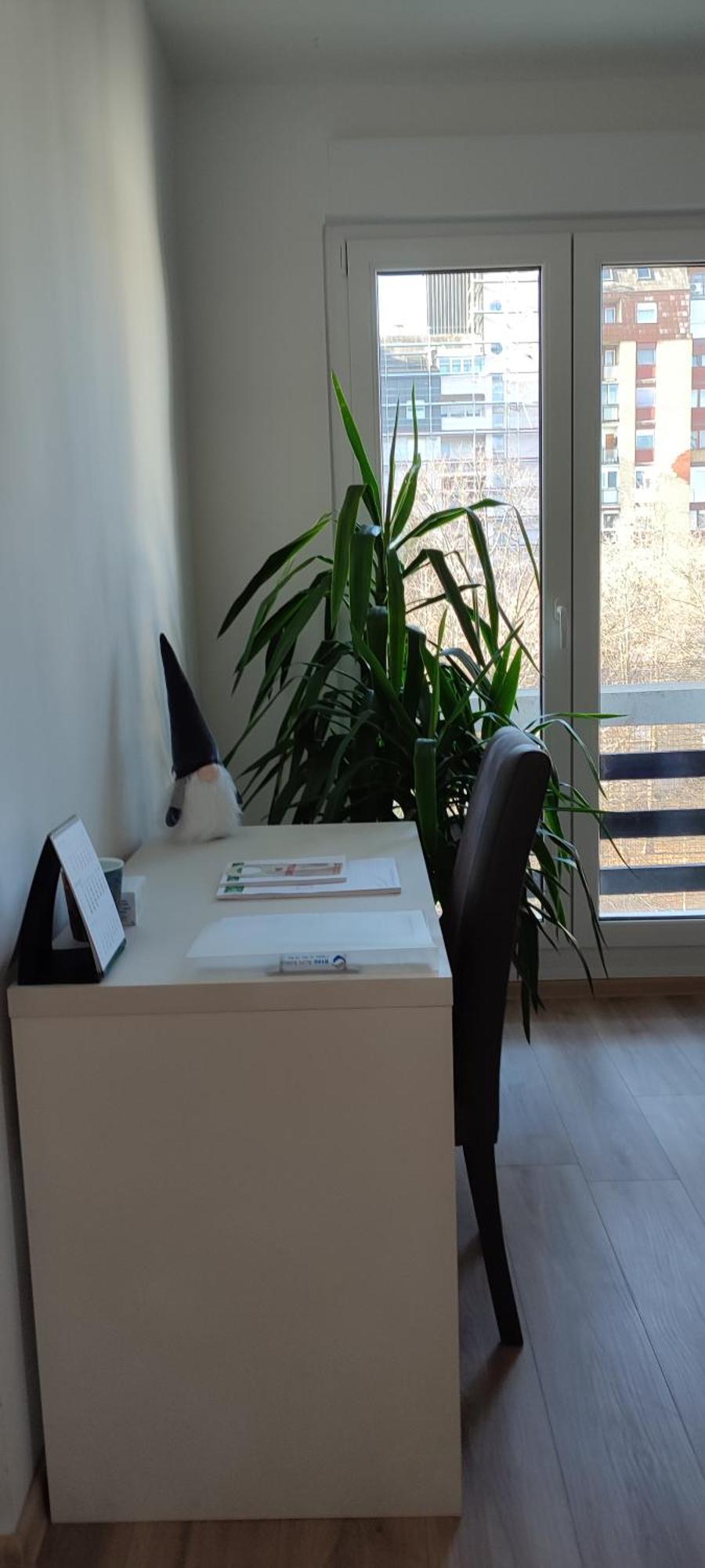 Sunny Osijek, Self Check In *
